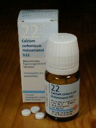 Schssler-Salz: 22. Calcium carbonicum